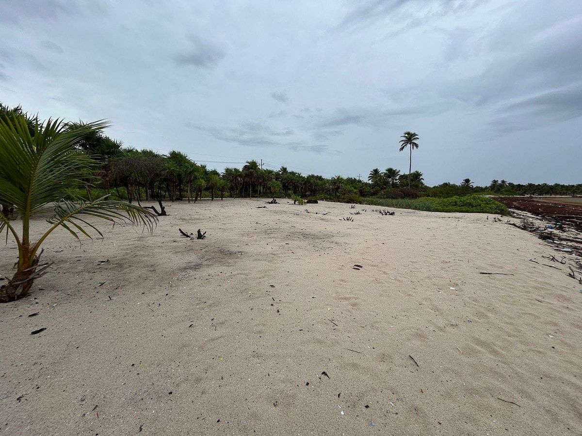 Terreno en Playa Uvero, Othón P. Blanco, foto 3 de 8