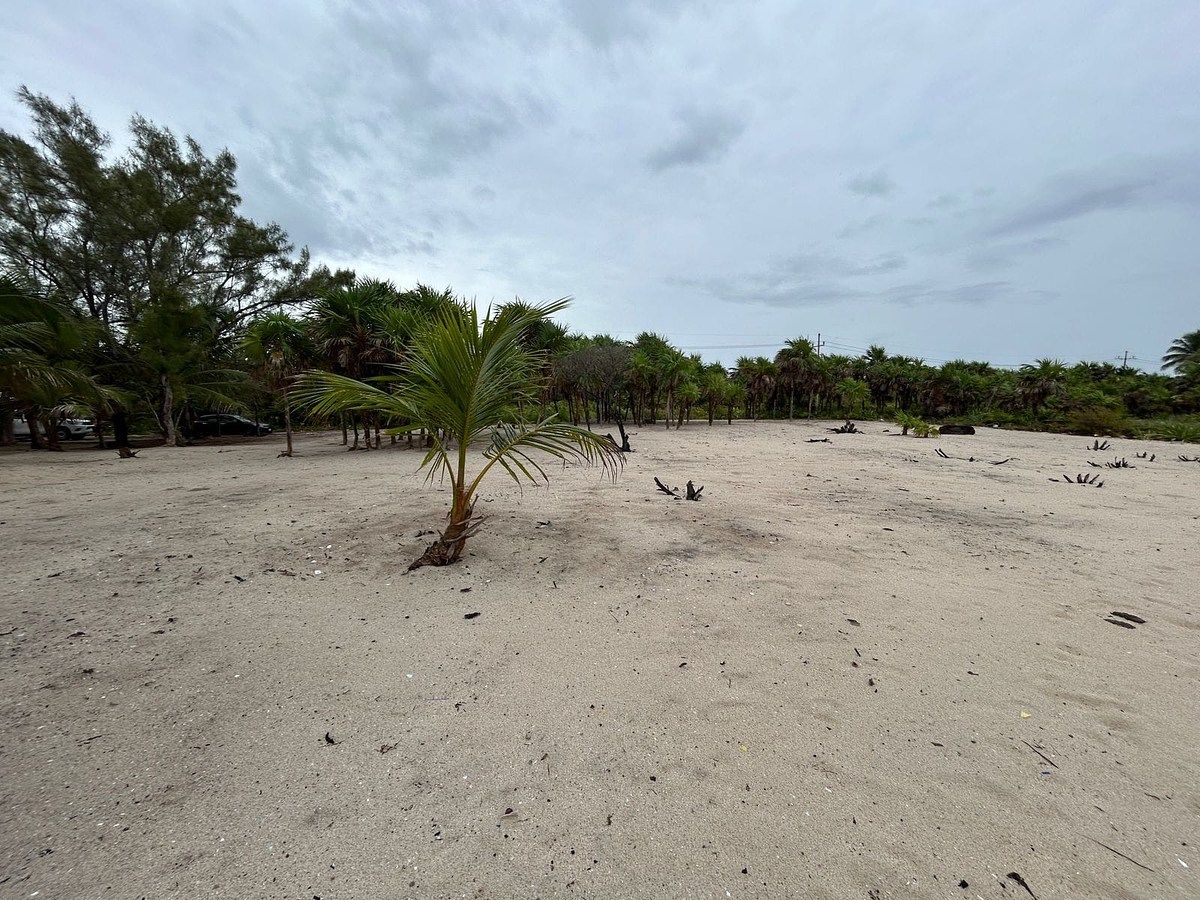 Terreno en Playa Uvero, Othón P. Blanco, foto 4 de 8