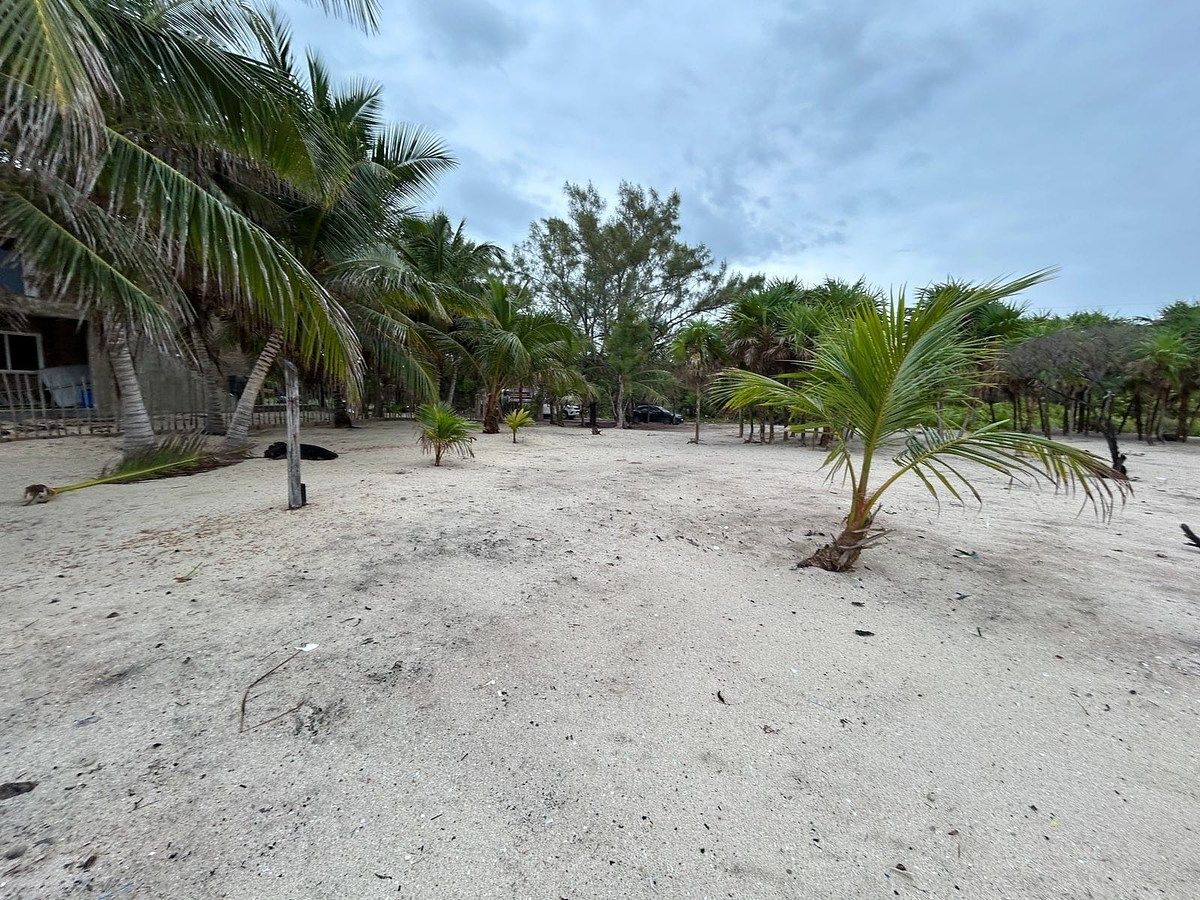 Terreno en Playa Uvero, Othón P. Blanco, foto 5 de 8