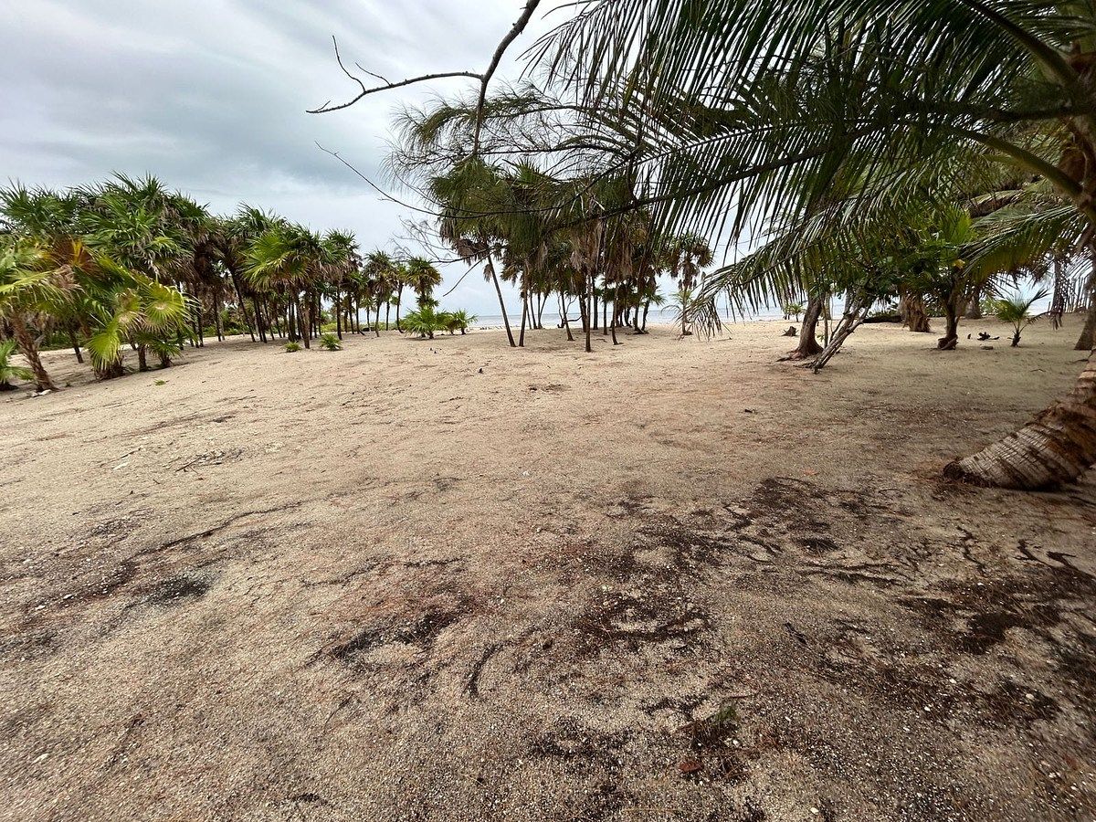 Terreno en Playa Uvero, Othón P. Blanco, foto 8 de 8