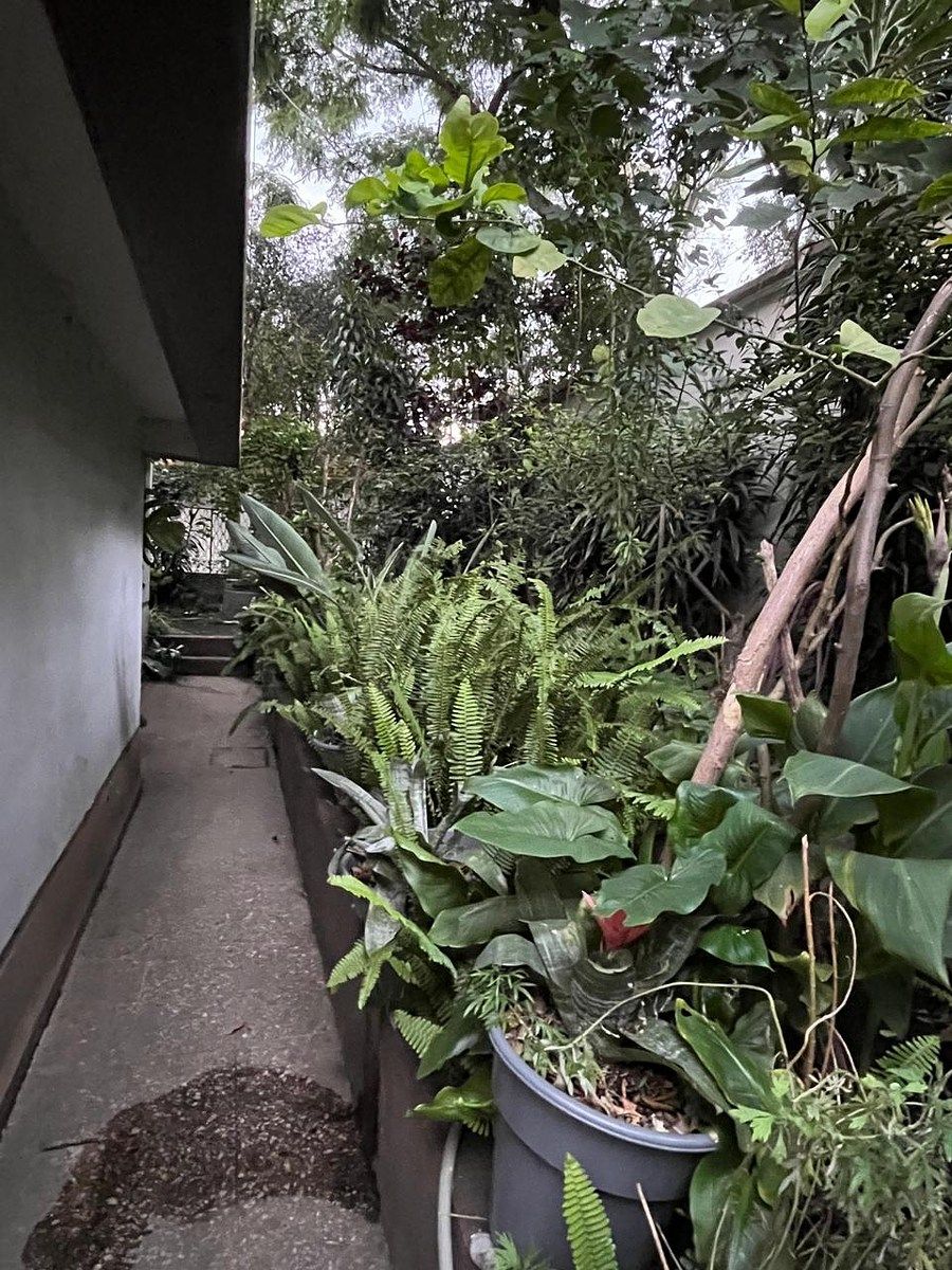 Casa en Prado Coapa 3A Sección, Tlalpan, foto 22 de 28