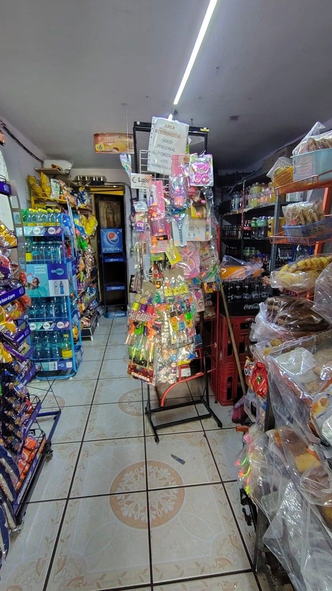 Casa em La Tuzania, Zapopan, foto 4 de 26