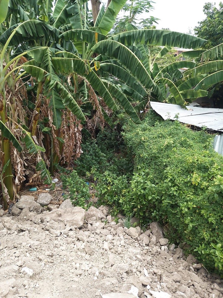 Terreno en Las Casitas, Tuxtla Gutiérrez, foto 13 de 16