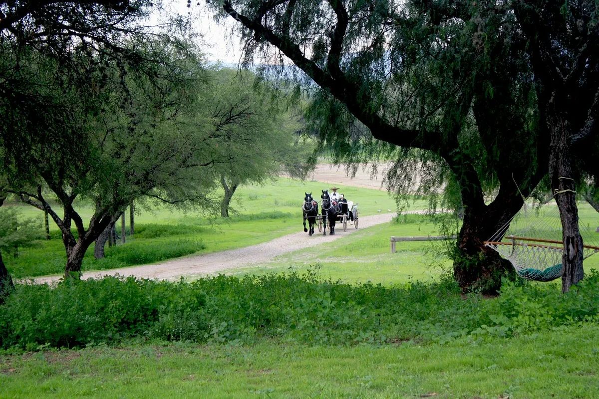 Terreno en El Vergel de los Laureles, San Miguel de Allende, foto 12 de 19