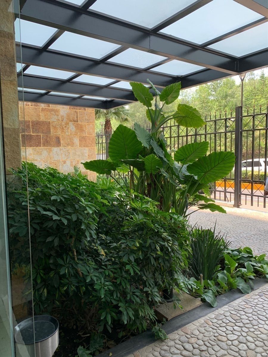 Departamento en Lomas Verdes 1a Sección, Naucalpan de Juárez, foto 37 de 41