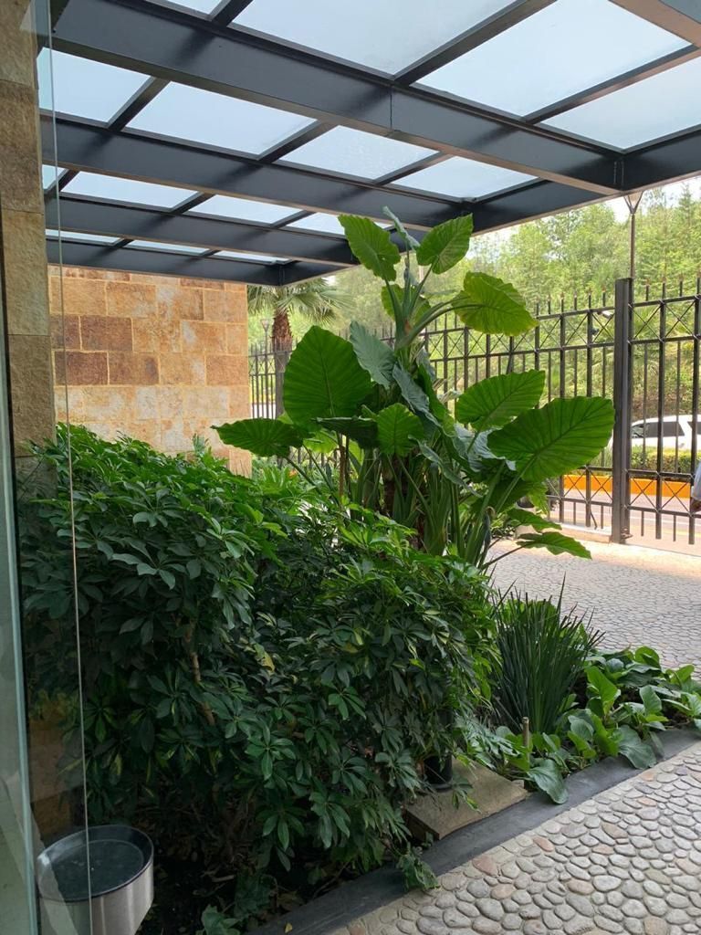 Departamento en Lomas Verdes 1a Sección, Naucalpan de Juárez, foto 41 de 41
