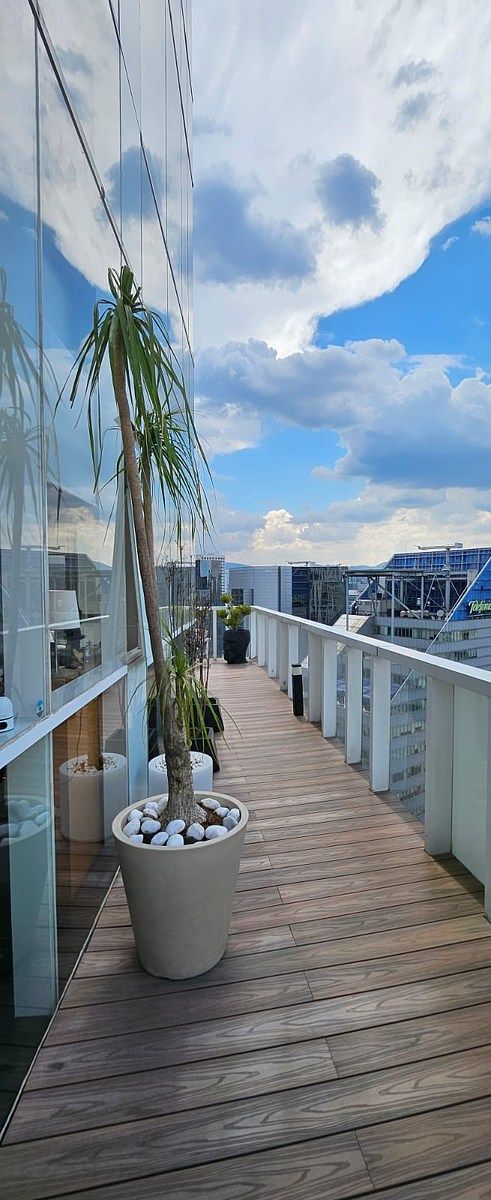 Apartamento em Santa Fe Cuajimalpa, Cuajimalpa de Morelos, foto 17 de 33