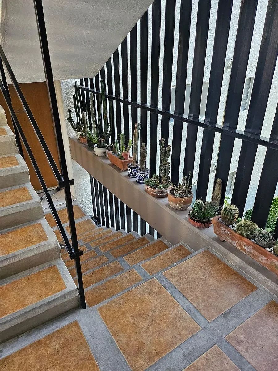 Apartment in San José de los Cedros, Cuajimalpa de Morelos, photo 5 of 16