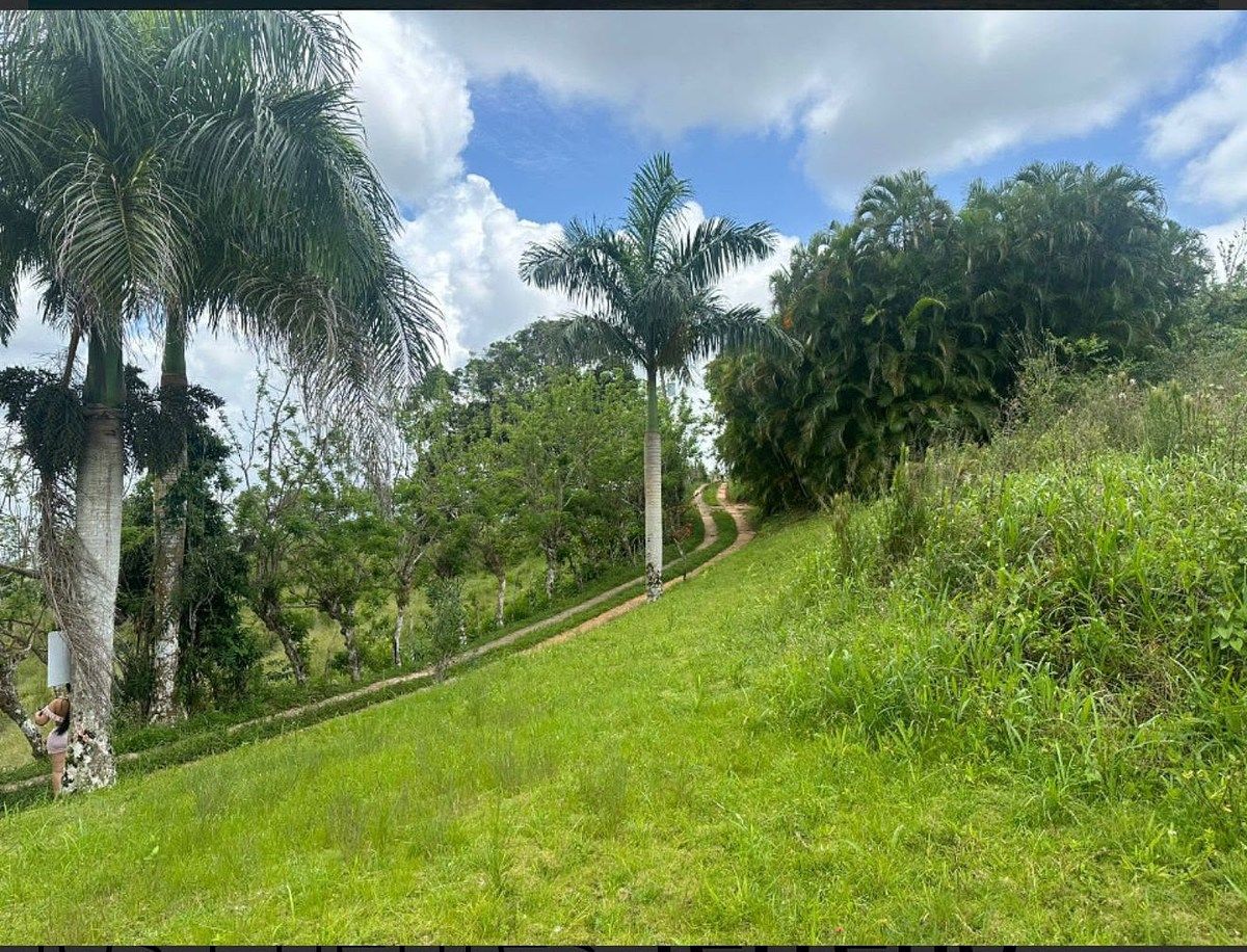 Terreno en Las Terrenas, foto 3 de 6