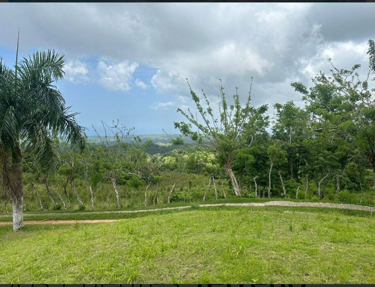 Terreno en Las Terrenas, foto 4 de 6
