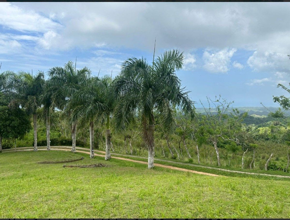 Terreno en Las Terrenas, foto 5 de 6