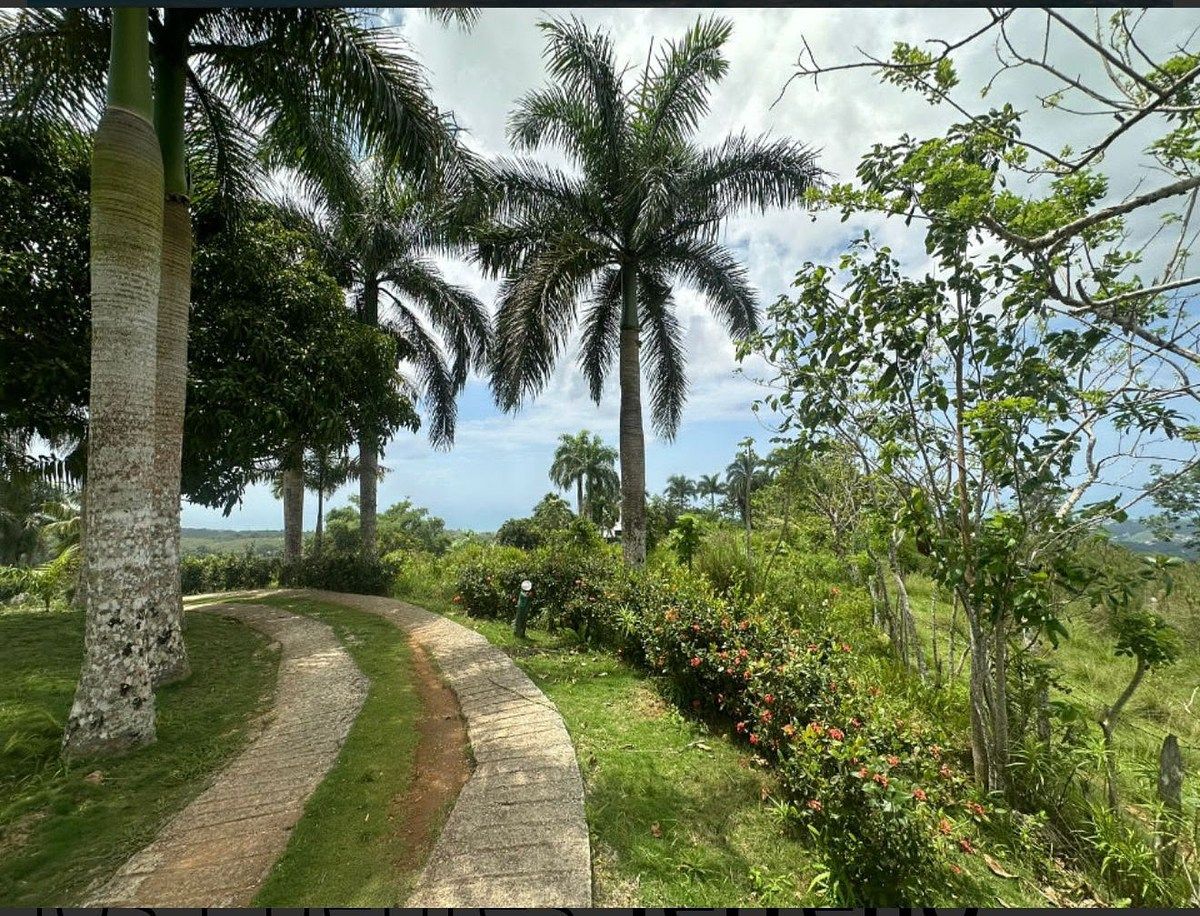 Terreno en Las Terrenas, foto 6 de 6