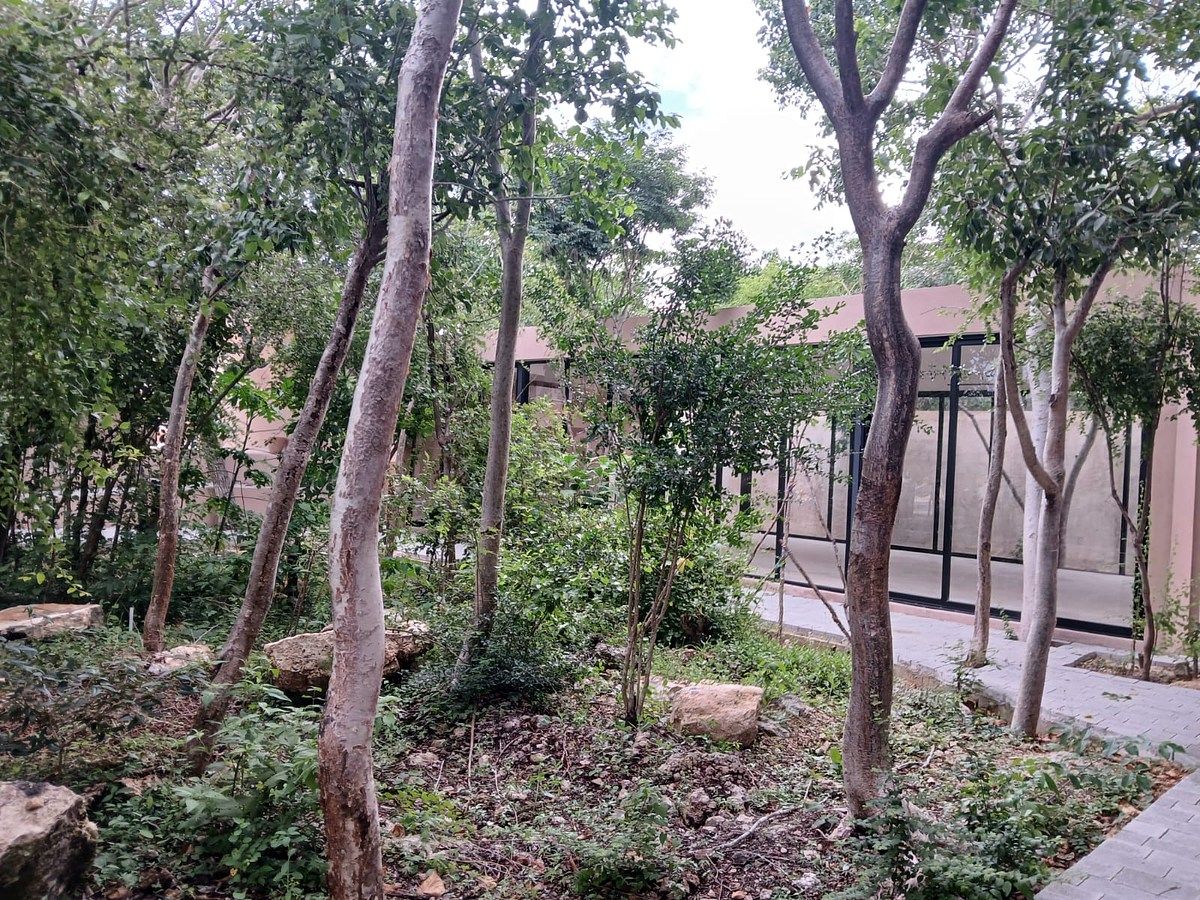 Terreno en Cholul, Mérida, foto 5 de 21