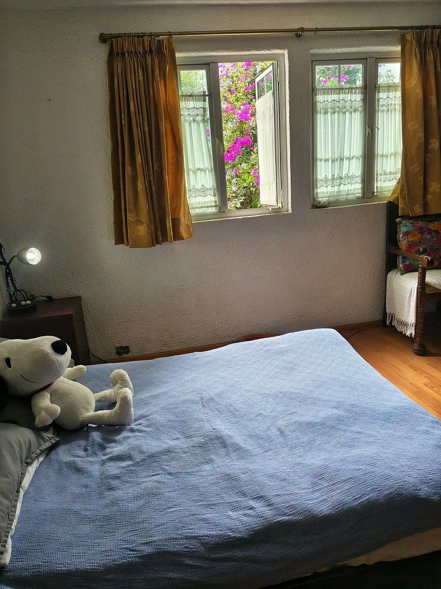 Casa em Barrio La Concepción, Coyoacán, foto 6 de 20