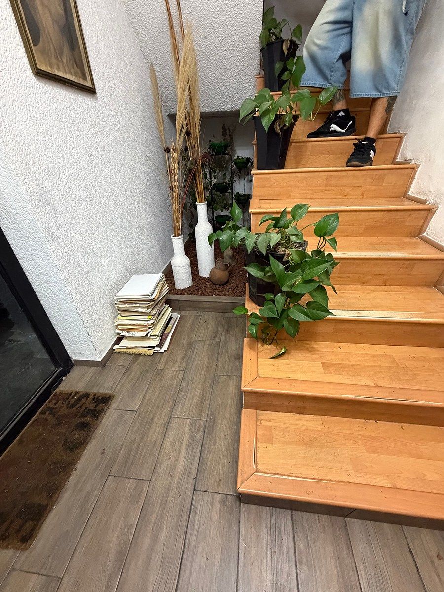 House in Lomas de San Mateo, Naucalpan de Juárez, photo 15 of 29