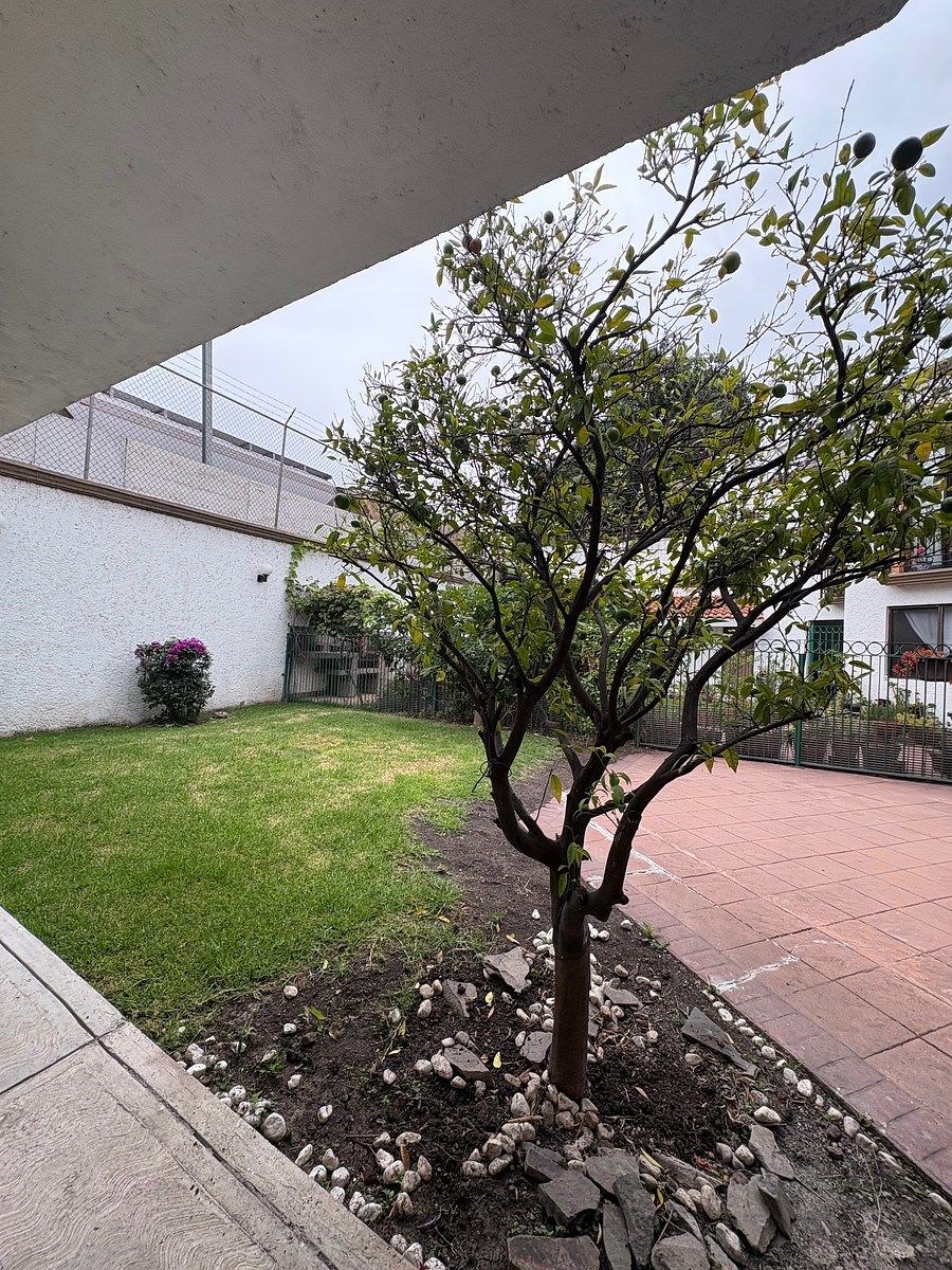 House in Las Brujas, Querétaro, photo 15 of 27