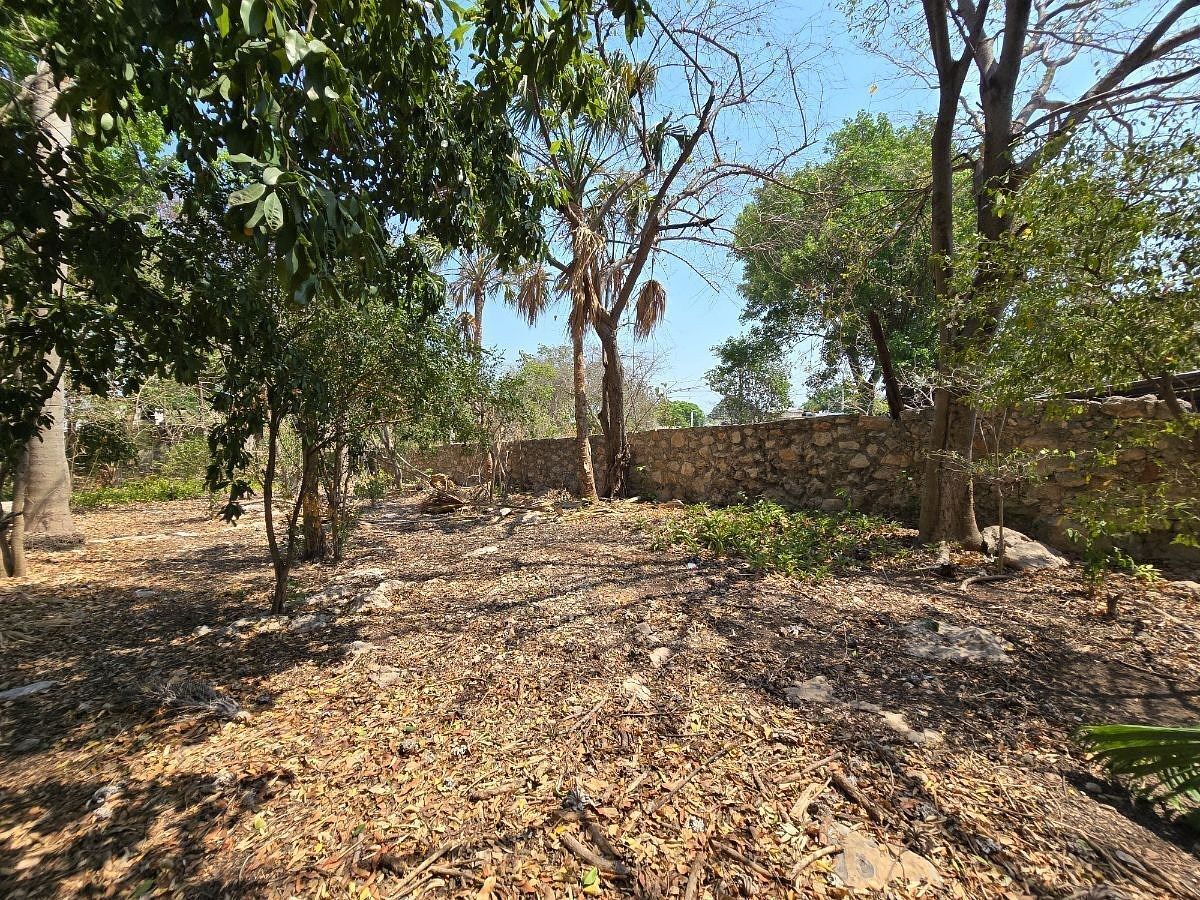 CASA EN VENTA EN MÉRIDA, CENTRO, AMPLIO TERRENO, PARA REMODELAR Y RESTAURAR - foto 5