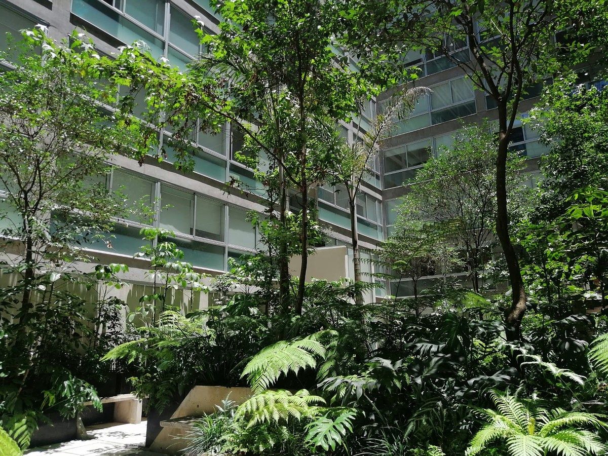 Apartamento em Lomas de Santa Fe, Álvaro Obregón, foto 3 de 27