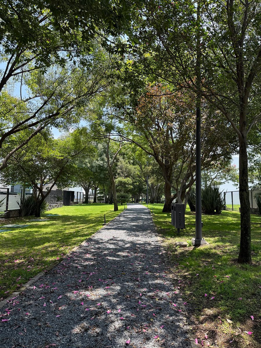 Lot in San Francisco, Zapopan, photo 9 of 9