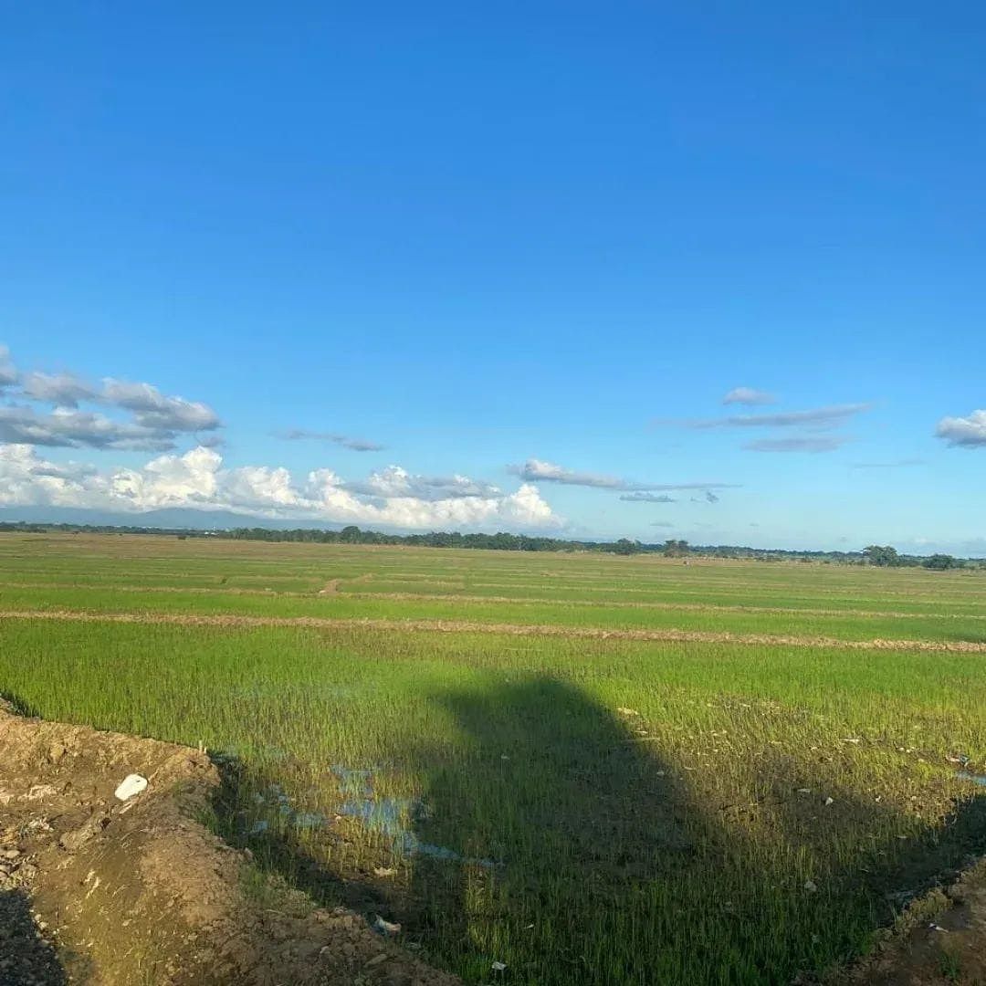 Finca en Rincón, foto 4 de 11