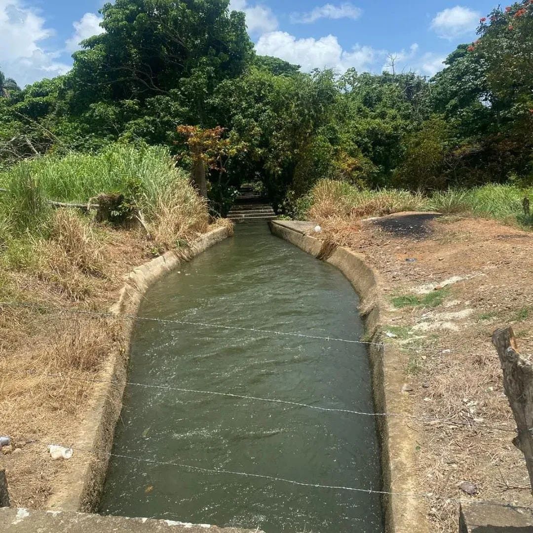 Finca en Rincón, foto 3 de 11