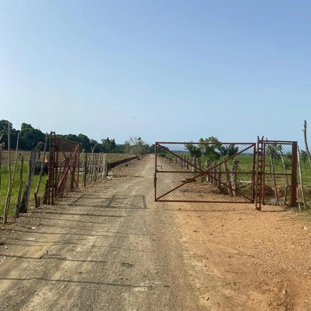 Finca en Rincón, foto 7 de 11