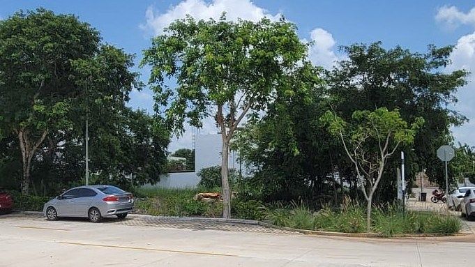 Land for sale in Zendera, Conkal, photo 1 of 14