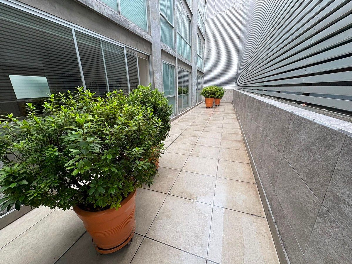 Apartamento em Polanco III Sección, Miguel Hidalgo, foto 19 de 37