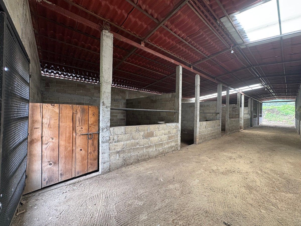 Terreno comercial en Godínez O Tehuastepec, Valle de Bravo, foto 9 de 23