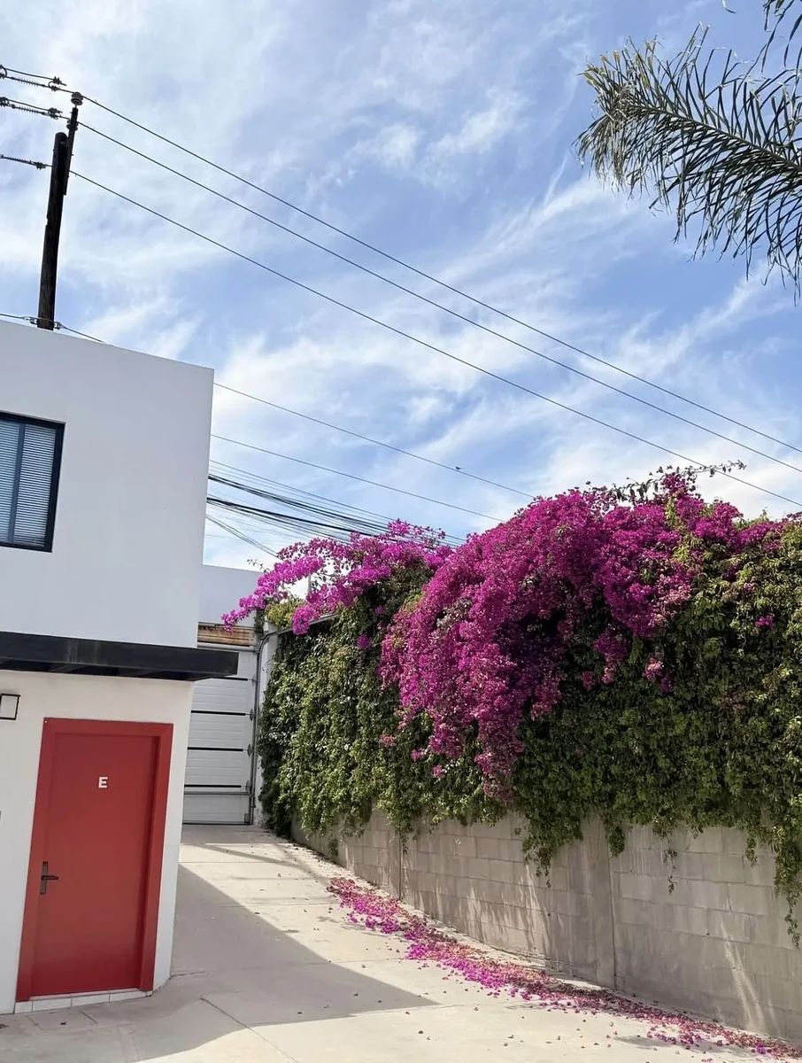 Departamento en Anexa Postal, Tijuana, foto 5 de 17