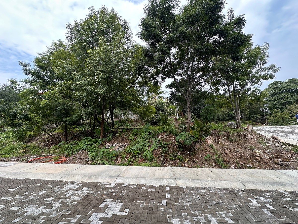 Terreno en Las Cañadas, Zapopan, foto 8 de 17