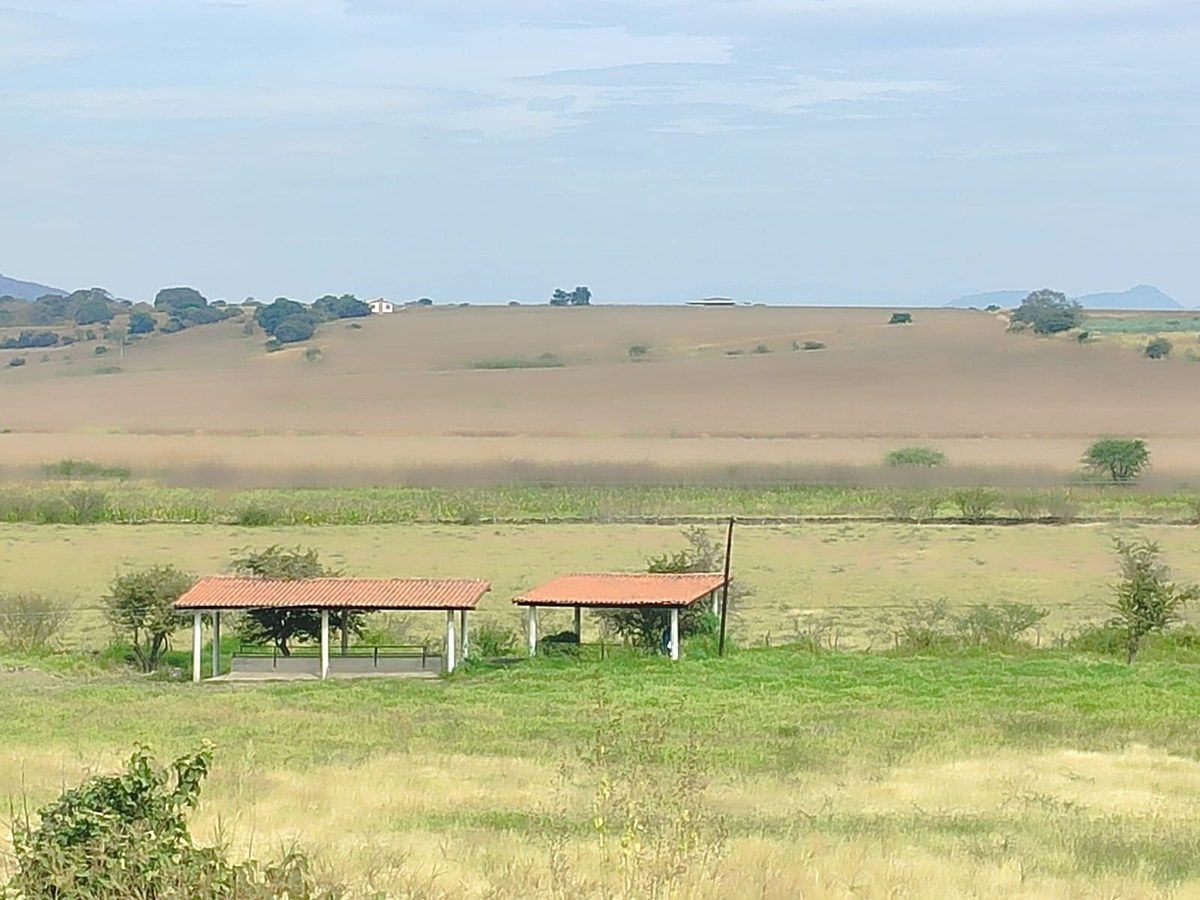 Land for Sale in Ayutla, photo 1 of 5