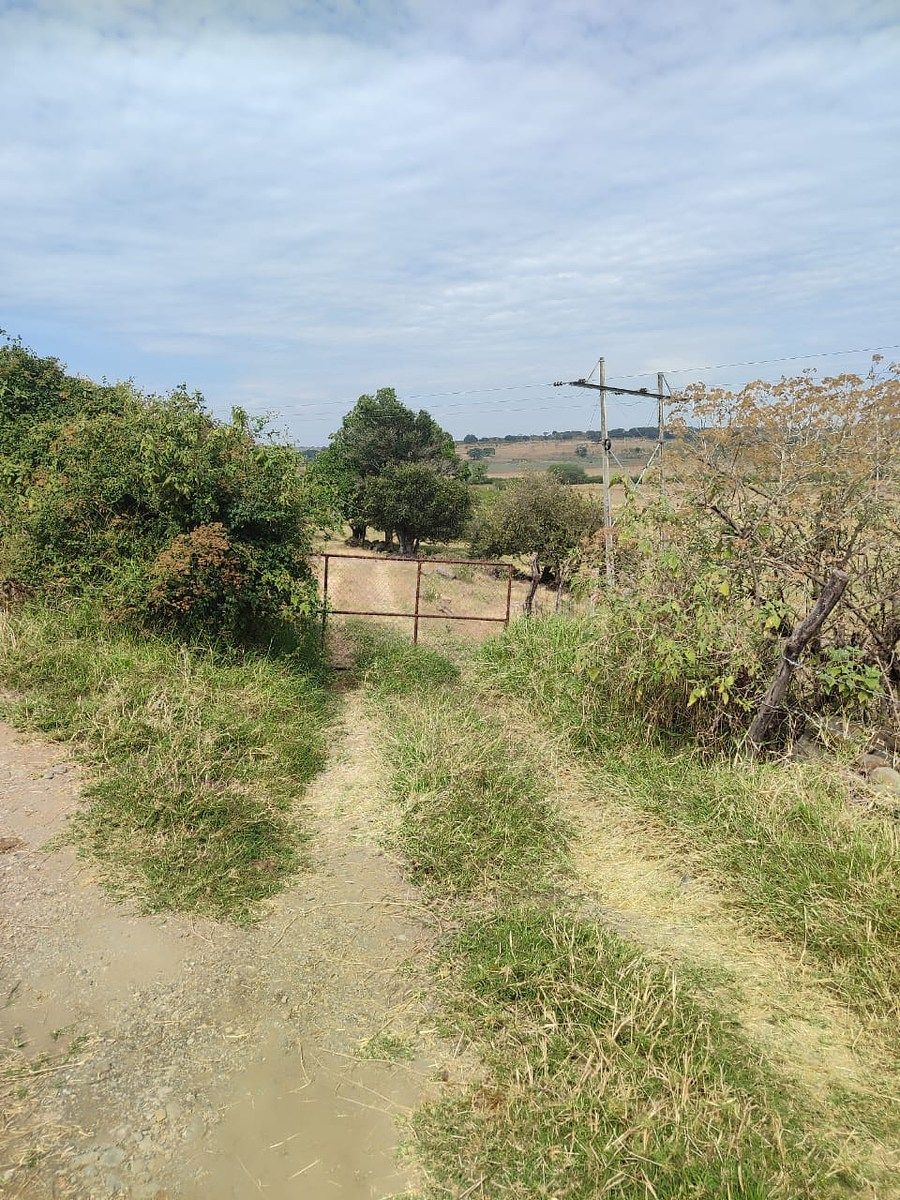 Commercial Lot in Ayutla, Ayutla, photo 4 of 5