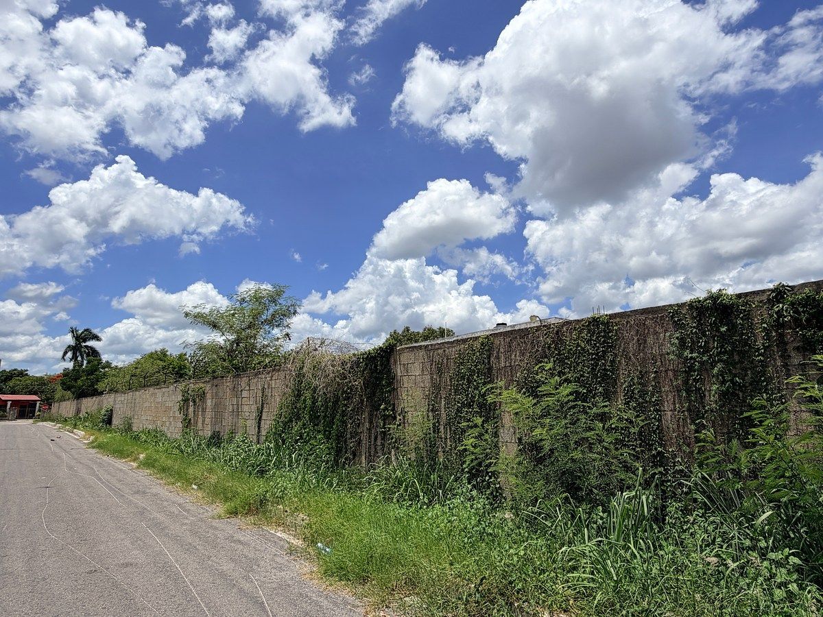 Lot in El Roble Agrícola, Mérida, photo 8 of 18