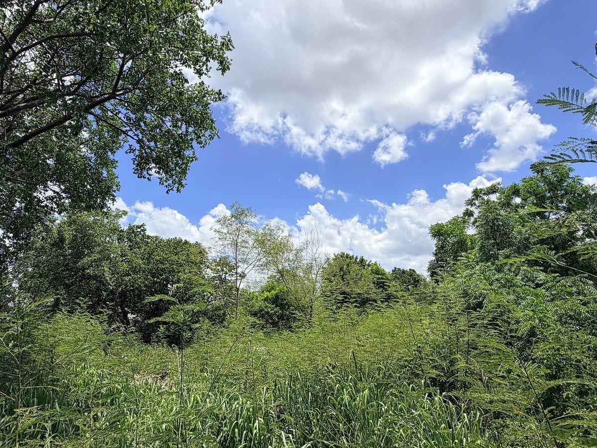 Lot in El Roble Agrícola, Mérida, photo 12 of 18