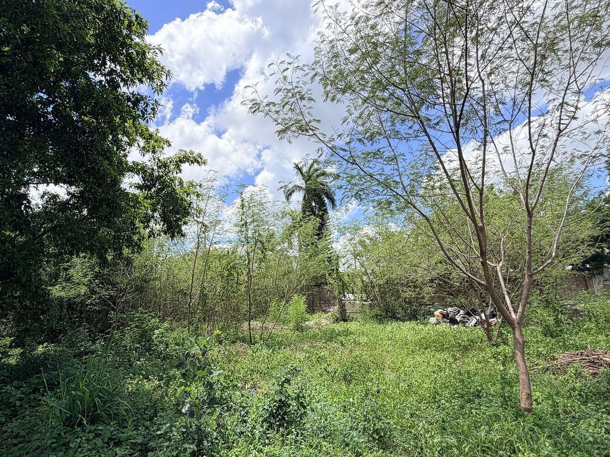 Lot in El Roble Agrícola, Mérida, photo 15 of 18
