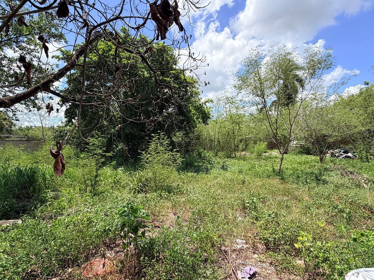 Lot in El Roble Agrícola, Mérida, photo 16 of 18