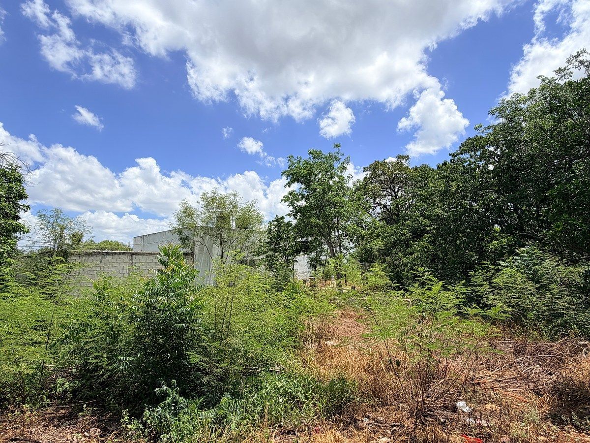 Lot in El Roble Agrícola, Mérida, photo 18 of 18