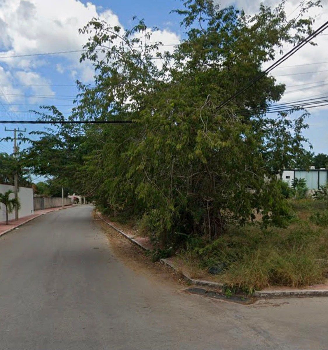Lot in Montes de Ame, Mérida, photo 2 of 3