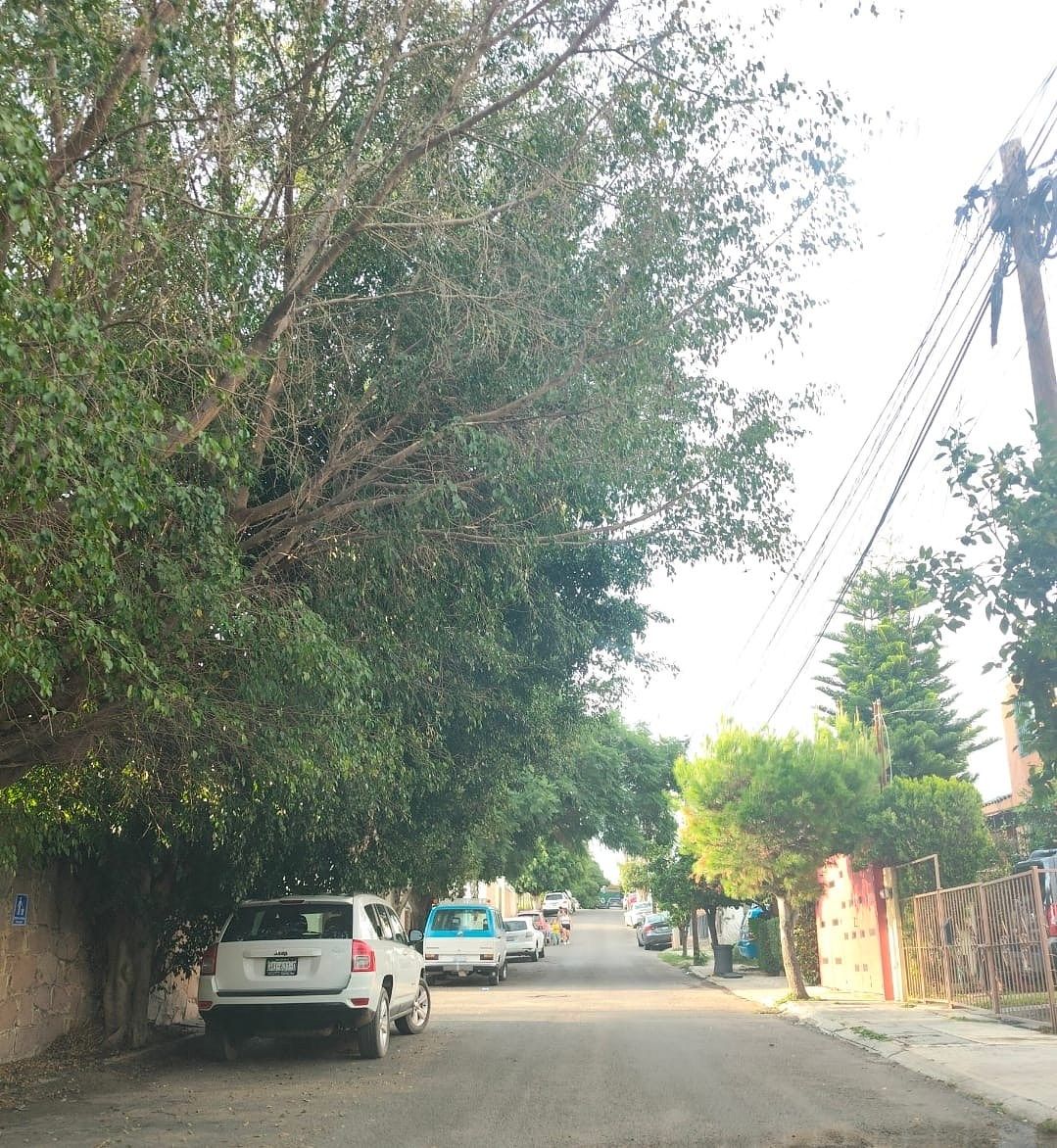 Terreno en Burócrata, Guanajuato, foto 6 de 10