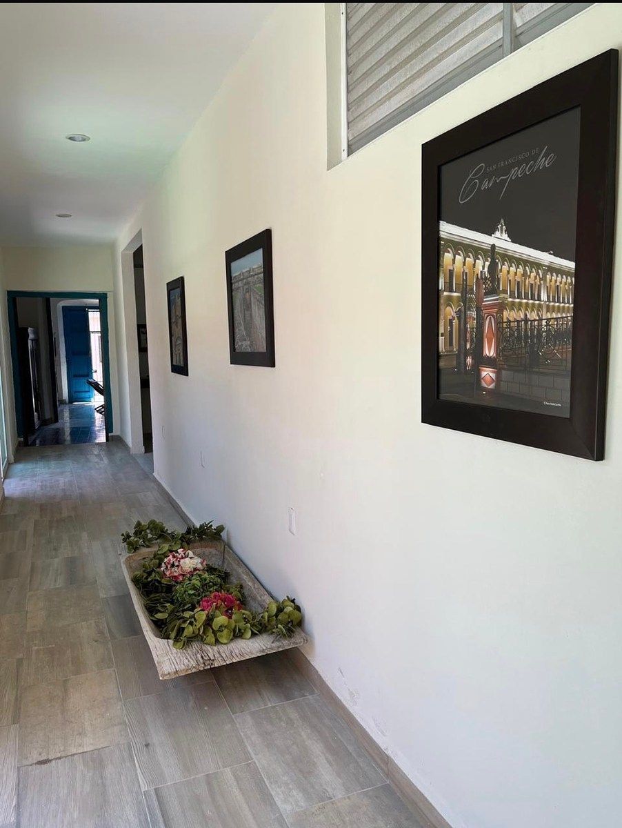 House in San Román, Campeche, photo 8 of 14