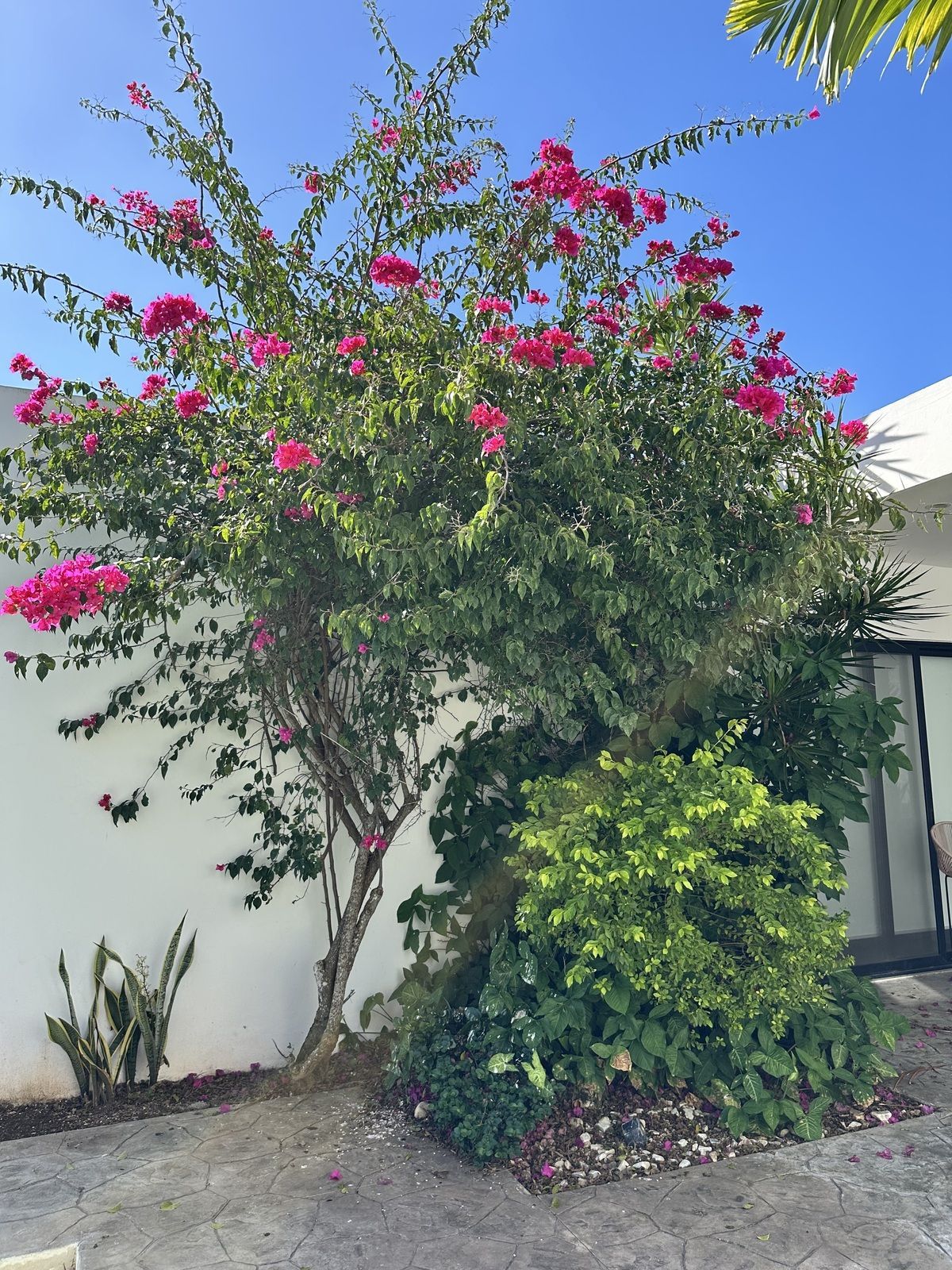 Casa en Komchen, Mérida, foto 25 de 29
