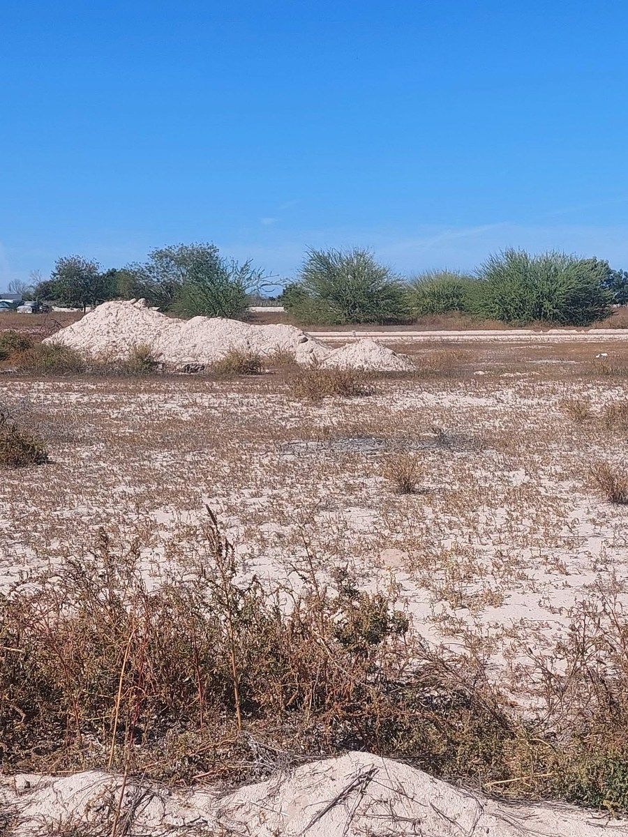 Lote em Chametla, La Paz, foto 2 de 15