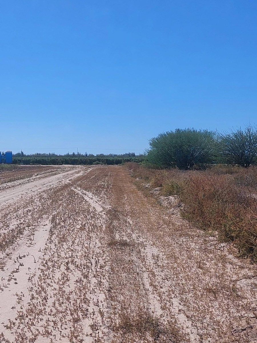 Lote em Chametla, La Paz, foto 7 de 15