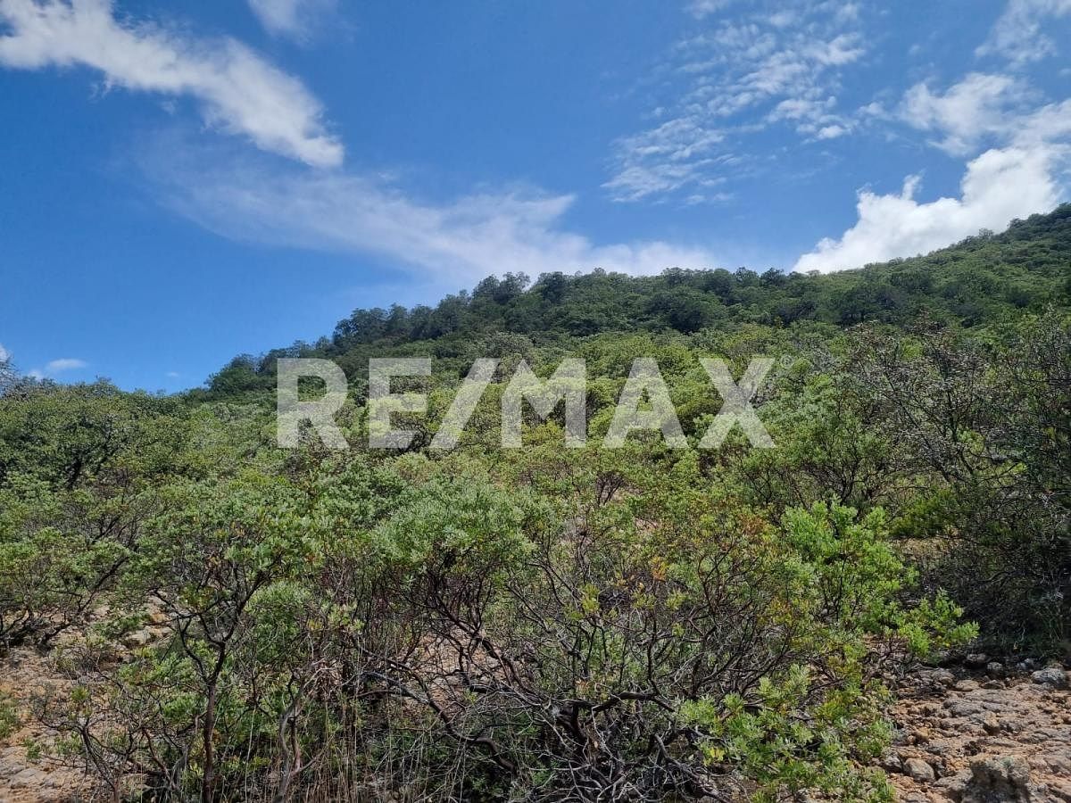 8 TERRAS RURAIS À VENDA ISA687411, foto 1 de 13