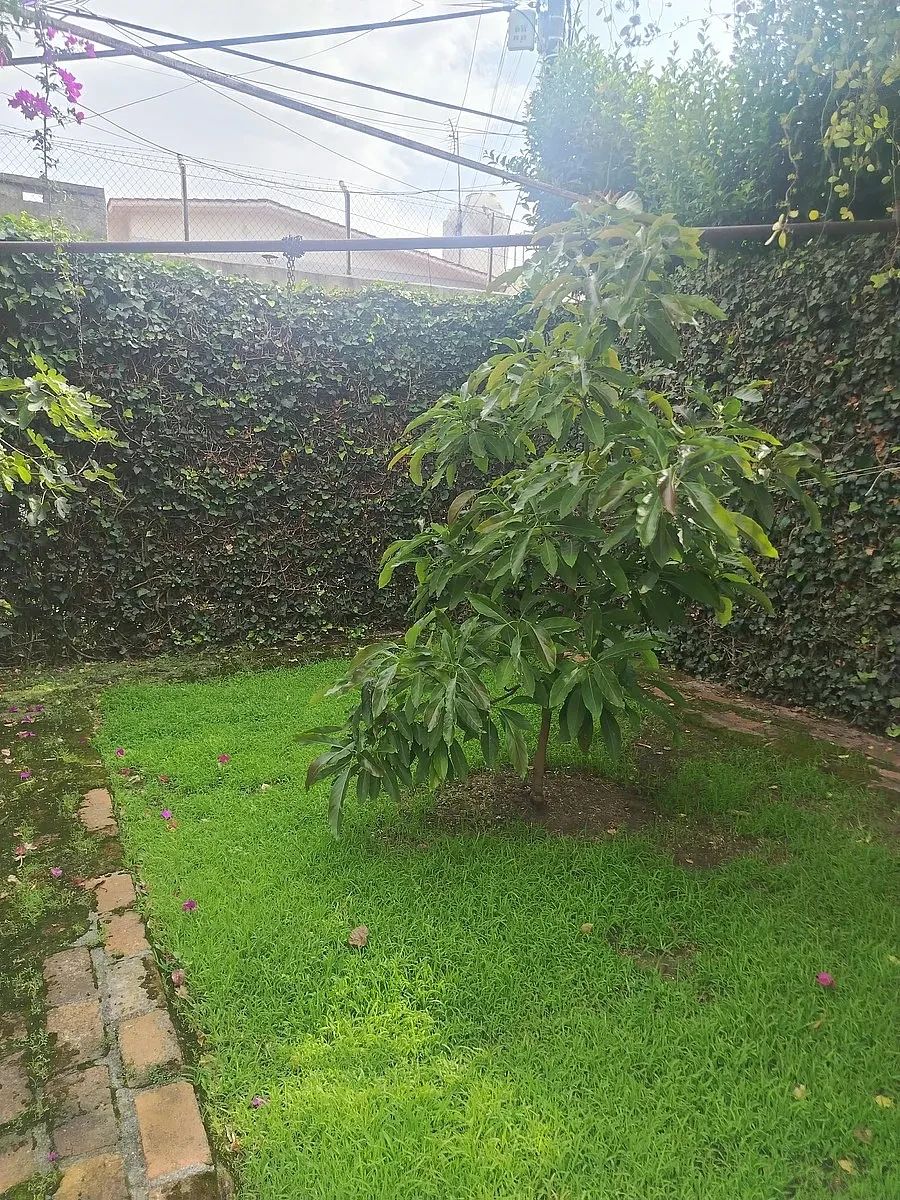 House in Ciudad Satélite, Naucalpan de Juárez, photo 18 of 21