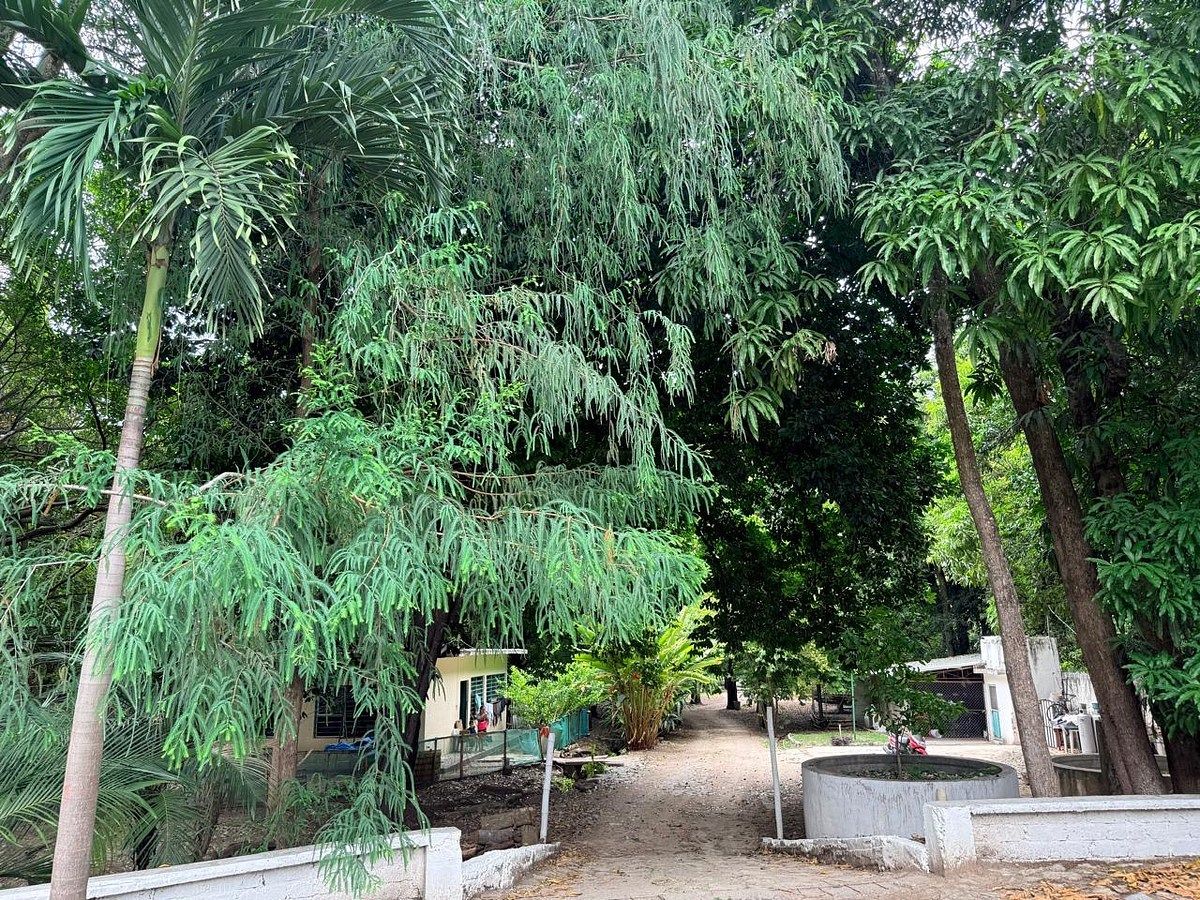Fazenda em Terán, Tuxtla Gutiérrez, foto 2 de 19
