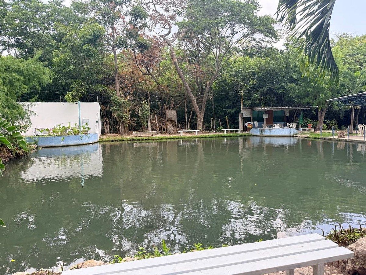 Fazenda em Terán, Tuxtla Gutiérrez, foto 6 de 19