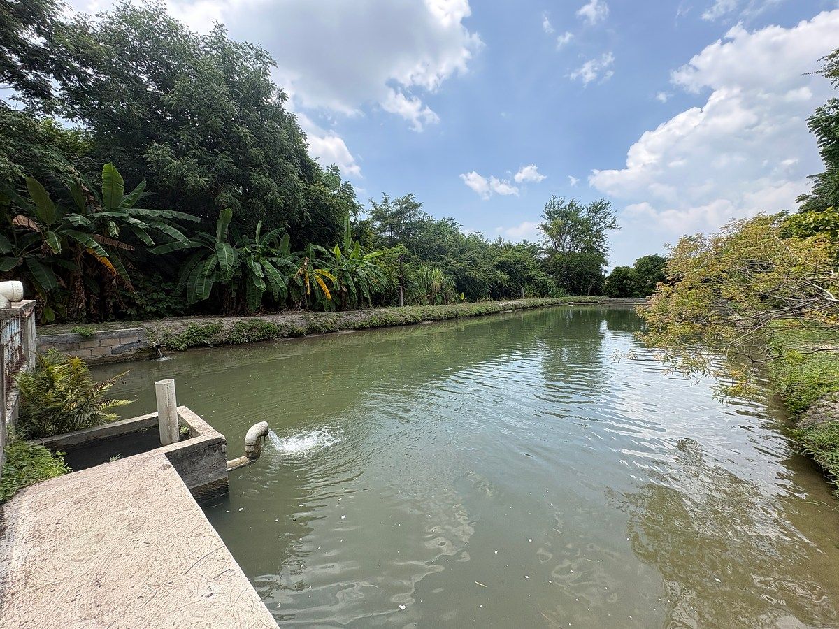 Fazenda em Terán, Tuxtla Gutiérrez, foto 7 de 19