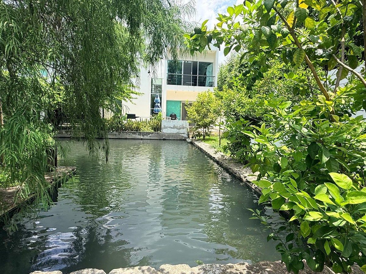 Fazenda em Terán, Tuxtla Gutiérrez, foto 13 de 19